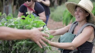 PBS Hawai i - HIKI NO Aired 19 Maui High School The Maui Farm