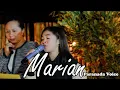 Download Lagu Marian - Paranada Voice