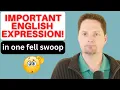 COMMON AMERICAN EXPRESSION IN ONE FELL SWOOP AMERICAN EXPRESSIONS IN ONE FELL SWOOP MEANING