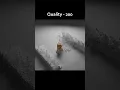 Blender water simulation Flip Fluids