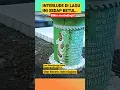 Download Lagu Interlude keren Gatot Sarjono dalam lagu Mama Aku Ingin Pulang Nike Ardilla #fyp #shortvideo