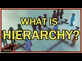 What is Hierarchy