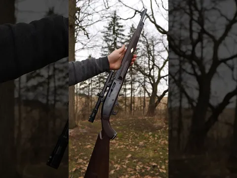 Remington Nylon 66