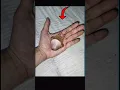 Download Lagu This Spider Looks Familiar   #spider #gagamba #animals #insects #bugs