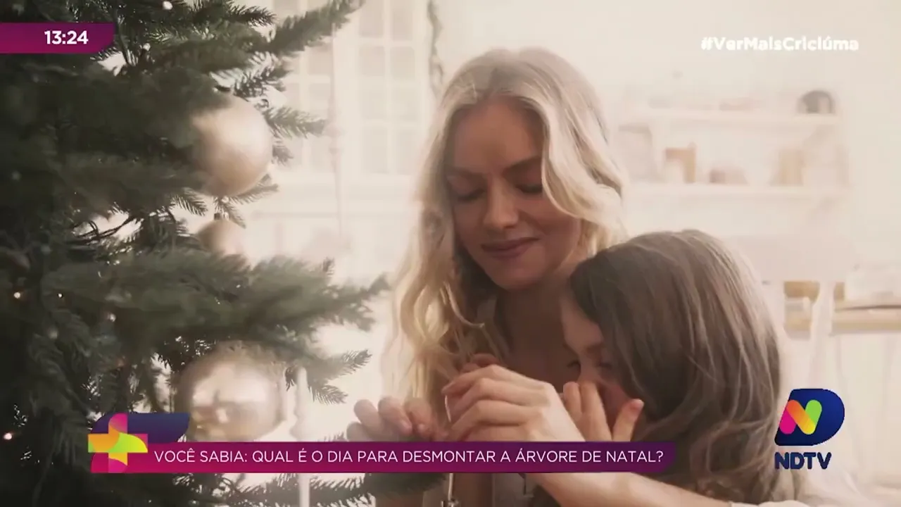Você Sabia: qual a data certa para desmontar a árvore de Natal?