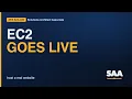 Host a Live Website on AWS EC2 SAA-C03