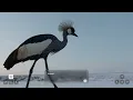 Genie 4: A new generation of world simulation