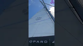 Sail off anchor: From Coffee Views to Raising the Mainsail! #shorts