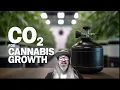 Download Lagu The Truth About CO2 In Your Grow Room : Everything You Need To Know w/ Chad Westport