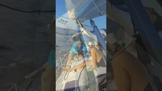 Wing-on-Wing to the Downwind Mark #shorts