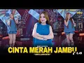 Download Lagu ✨ Shinta Arsinta – Cinta Merah Jambu x Cinta Lahir Batin | Dangdut Koplo Terbaru 2025 🎶🔥