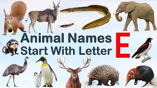 Animal Names Starting with letter E