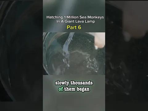 I Hatched 1 Million Sea Monkeys In A Giant Lava Lamp 😳 Part  7 #seamonkeys #brineshrimp #lavalamp
