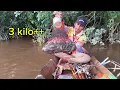 Download Lagu Full strike‼️mancing udang galah di sungai sejenuh tangan sampai capek strike.