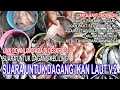 Download Lagu Suara Untuk Dagang Ikan Laut Keliling versi 2