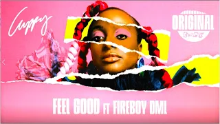 cuppy feel good ft fireboy dml official audio original copy reaction video first listening