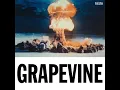Grapevine - Tiësto