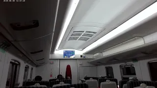                  دندنها