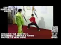 DRAGON STYLE KUNG FU 2 - INTERMEDIATE BASICS FORMS