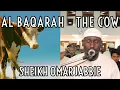 Soninke African Tone - Surah Al Baqarah FULL Taraweeh -The Cow- سورة البقرة كاملة|Sheikh Omar Jabbie