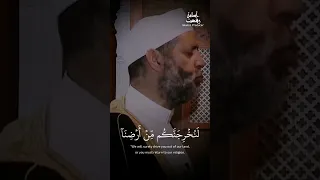 الشيخ حسن صالح آيات قرآنية قرآن كريم Osamarefattv 