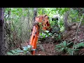 Download Abandoned Excavator left in woods for 16 years- Will it start ?? mp4 3gp mp3 videos - waplic