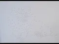 Dot to Dot - Mystery 2