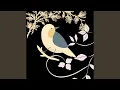 Download Lagu Kicau Burung Sikatan Londo Gacor