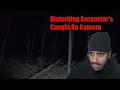Download Lagu Reacting To Most Disturbing Encounters Caught On Camera
