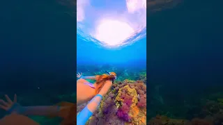 Flying In The Waters Of The Philippines Freediver Freediving Swimming Mermaid Ocean 