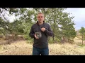 Barn Owl - Introduction to cellular cameras for Ag producers