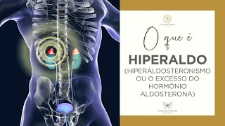 O que é o hiperaldosteronismo? | Hipertensão de causa hormonal | Adrenal