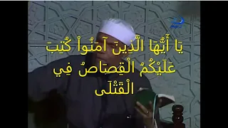 القصاص في القرآن   الشعراوي دندنها