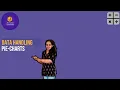 Data Handling - Pie Charts