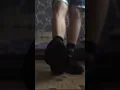My friends feet again