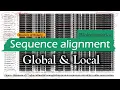 Bioinformatics Sequence alignment Global and Local alignment