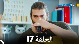 مسلسل الطائر المبكر الحلقة 17 Arabic Dubbed FULL HD  مسلسل الطائر المبكر الحلقة 17 Arabic Dubbed FULL HD