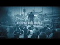 Download Lagu PGPM Big Bull - Motherland (Official Music Video)