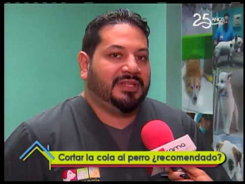 Cortar la cola al perro ¿Recomendado?