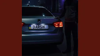 Бездомний Barsik  Бездомний Barsik