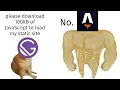 Astro is Gatsby done right Static sites without the JavaScript
