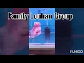 Lagu Kumpulan video louhan family group