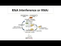 Download Lagu RNA interference (RNAi), short interfering RNA (siRNA) \u0026 transcription of siRNA