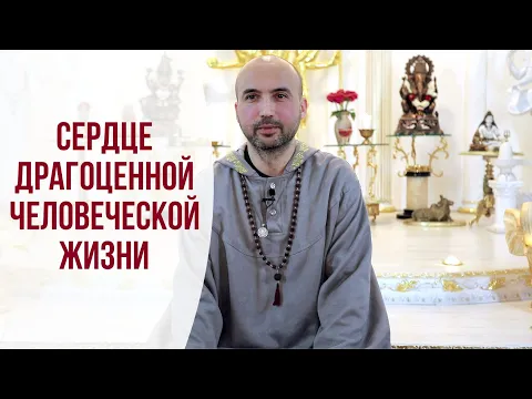 сердце драгоценной человеческой жизни image