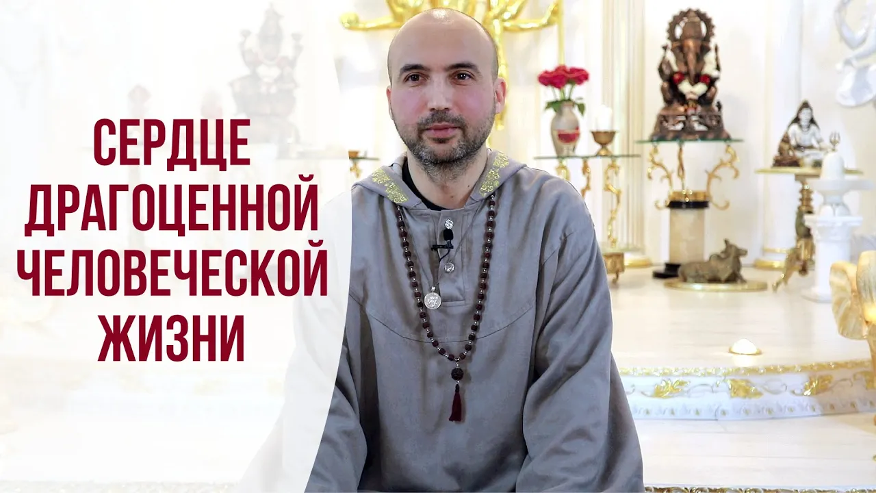 course сердце драгоценной человеческой жизни image