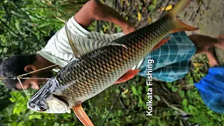 Kolkata Fishing Official Video