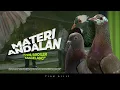 Download Lagu HAMPIR PUTUS ASA BERMAIN MERPATI KOLONG TEAM YHS BROILER MAGELANG