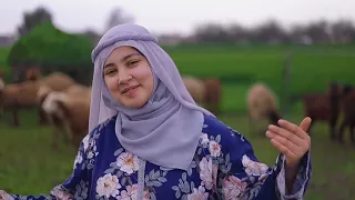 انشودة علمت انا راعي المنشدة ندي محمود والشيخ سيد مشاءالله      دندنها