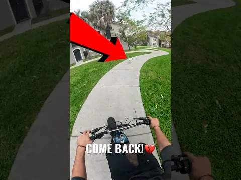 I Had To Chase My Dog On My E-Bike 💀 #shorts