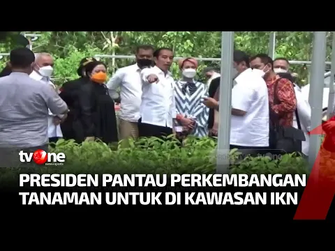 Presiden Jokowi Pantau Perkembangan Tanaman Untuk IKN